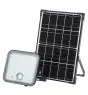 Ledvance LED Floodlight Endura Solar Black 30W 4500lm - 840 Cool White| IP65 - Motion Sensor