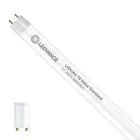 Ledvance LED Tube T8 Value (EM/Mains) Standard Output 11.6W 1400lm - 865 Daylight | 105cm - Replaces 38W