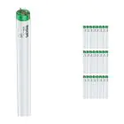 Multipack 25x Philips MASTER TL-D Actinic BL 18W - Ultraviolet | 60cm